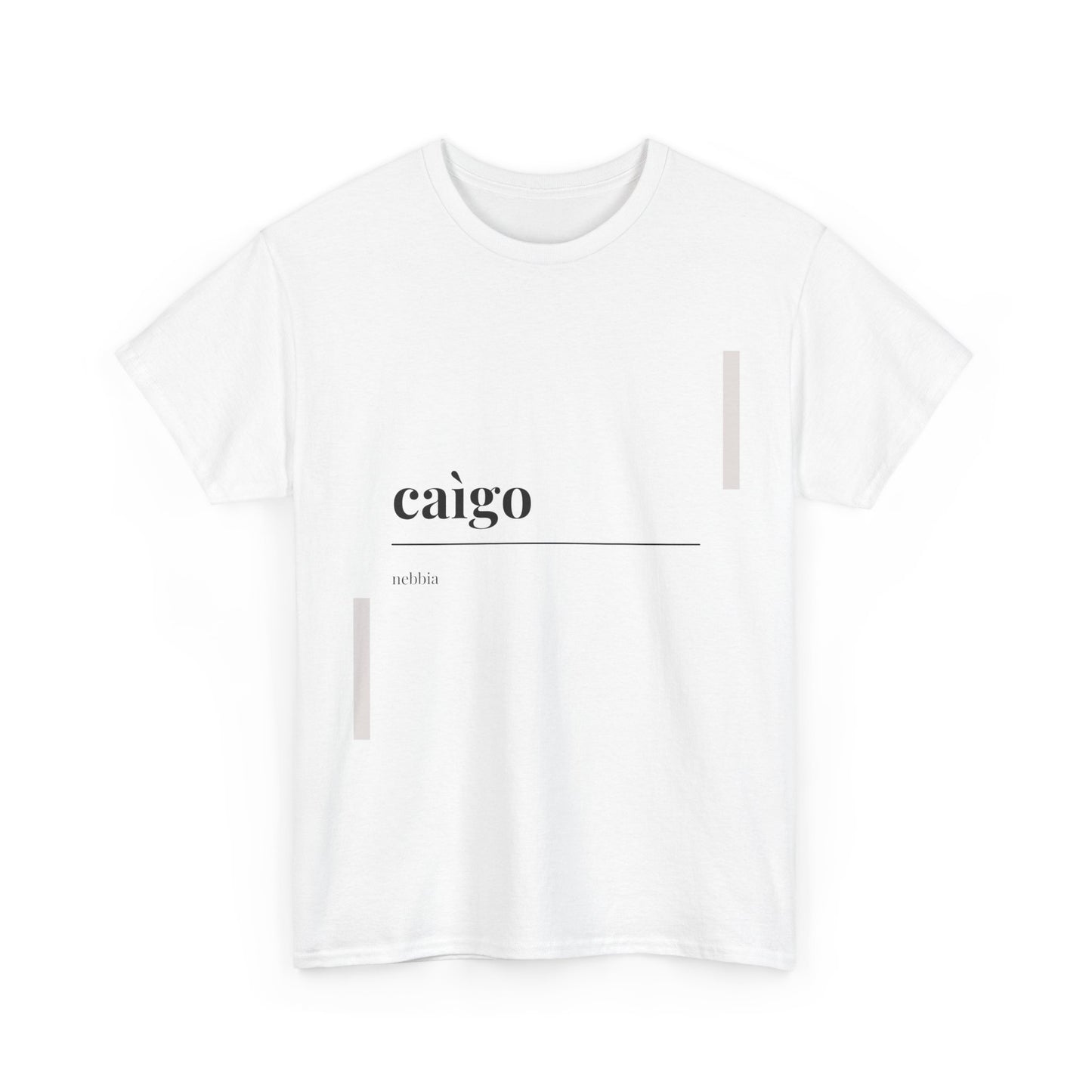 T-shirt Vocabolario Veneto caìgo Printify