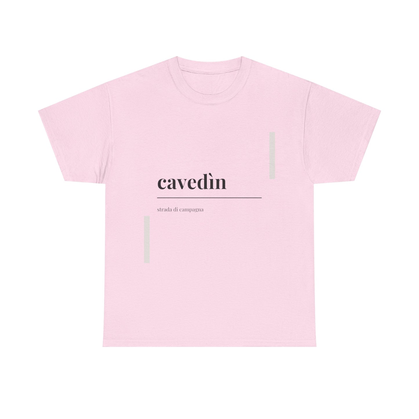 T-shirt Vocabolario Veneto cavedìn Printify