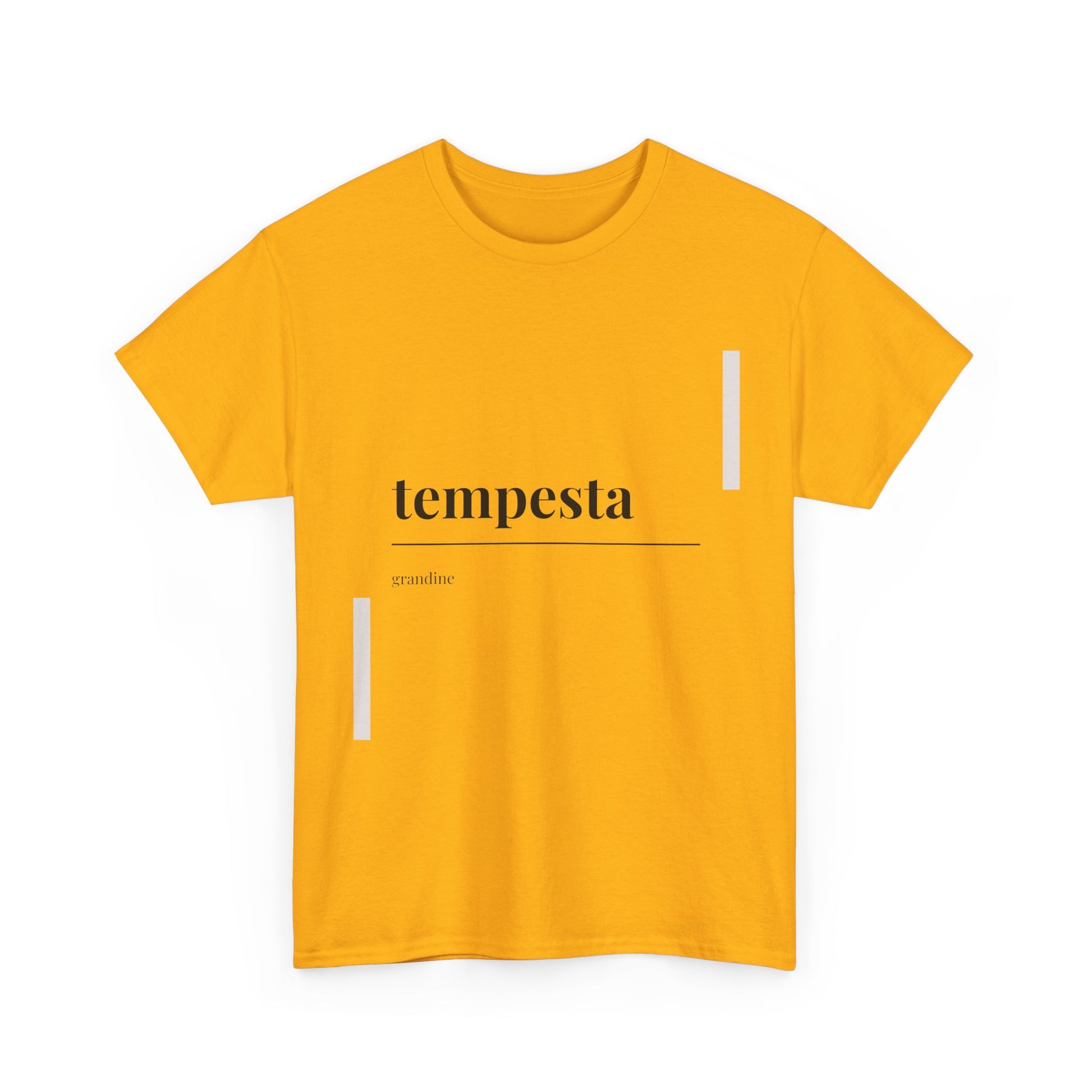 T-shirt Vocabolario Veneto tempesta Printify