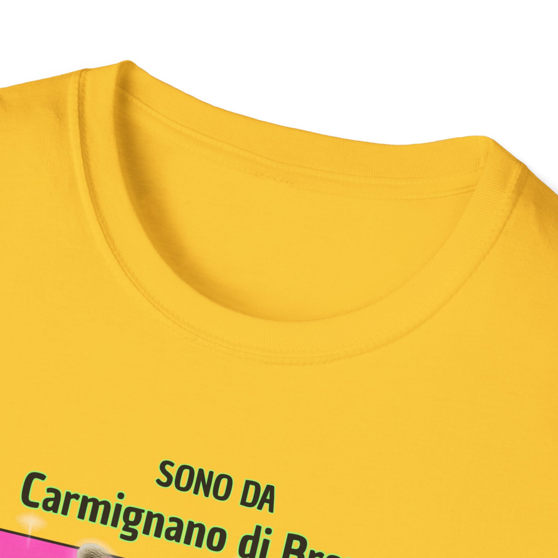 T-shirt Carmignano di Brenta bello da star male blu Printify