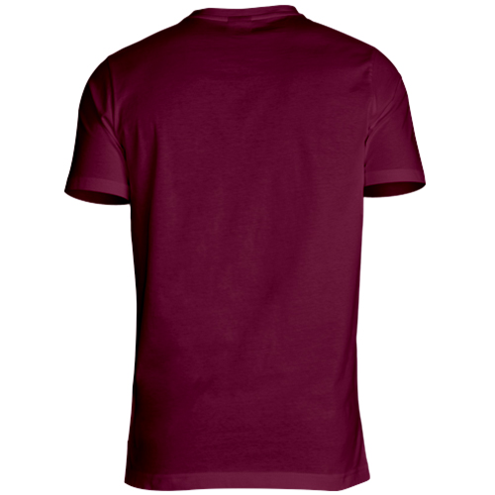 T-Shirt Unisex T shirt Castelfranco  Fighi Hoplix