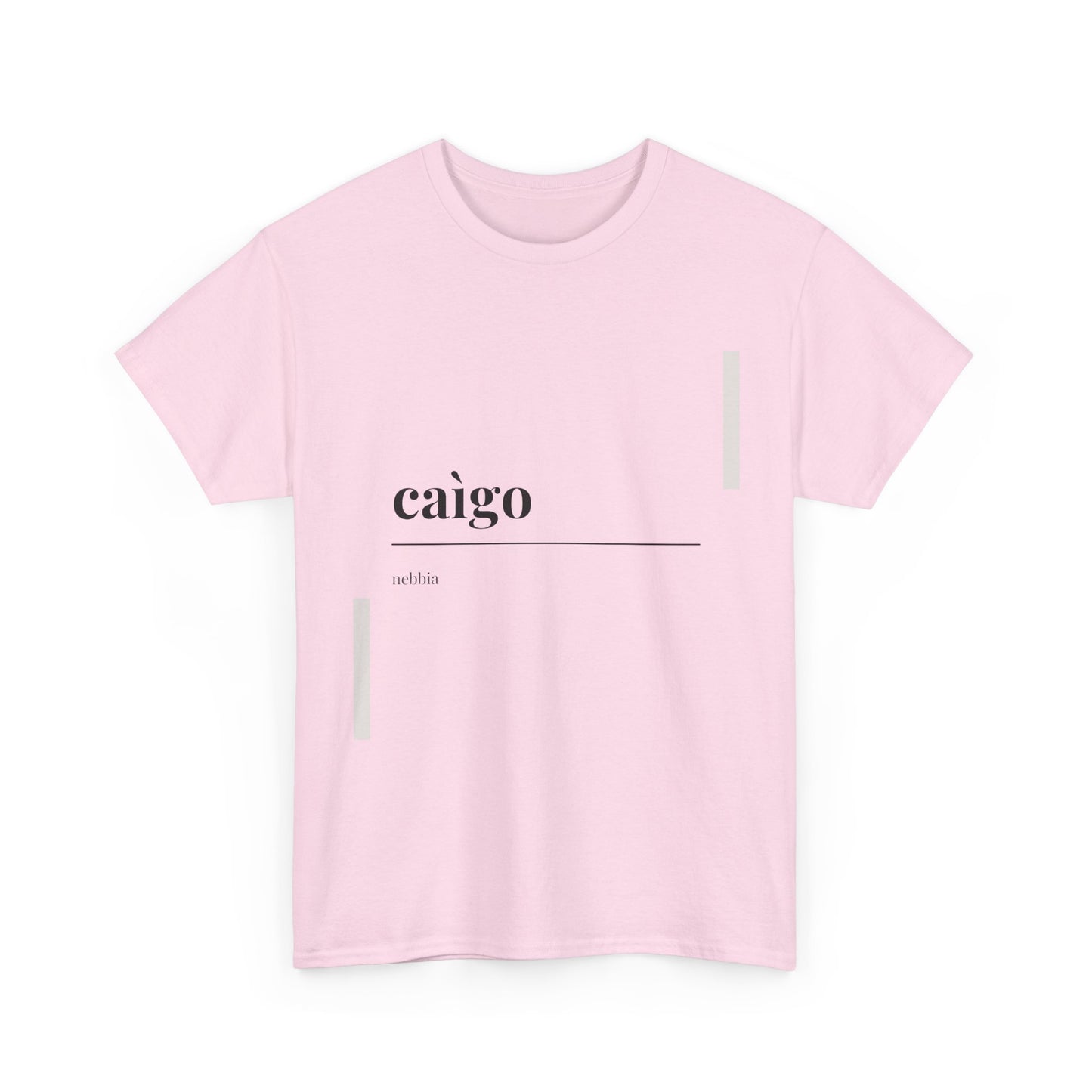 T-shirt Vocabolario Veneto caìgo Printify